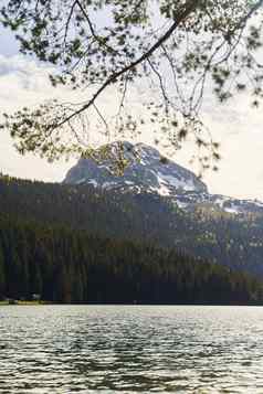 黑色的湖自然景观山湖扎布利亚克黑山共和国Durmitor国家公园