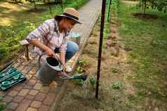 宁静园丁浇水水域种植幼苗花圃爱护理自然生态蔬菜增长