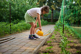可爱的孩子女孩浇水水域种植幼苗花圃爱护理自然童年