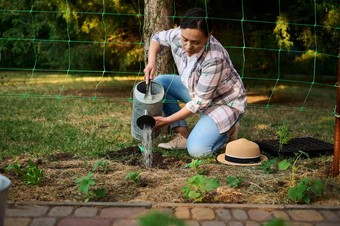 女人园丁农学家浇水水域种植幼苗生态农场园艺农业爱好