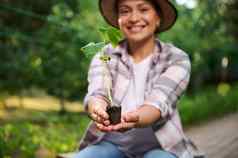 模糊微笑女人园丁显示黄瓜幼苗黑色的土壤生态农业农业爱好园艺