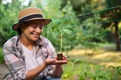 成功的非洲美国女人园艺家有爱心的日益增长的黄瓜幼苗黑色的土壤生态农场