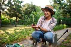 女园艺家有爱心的日益增长的黄瓜幼苗黑色的土壤有机农场生态农业农业综合企业
