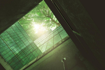 环保建筑现代城市可持续发展的玻璃办公室建筑树减少热碳二氧化物办公室建筑绿色环境企业建筑减少