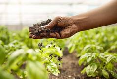 特写镜头污垢下降手农民手农民检查土壤质量非洲美国农民温室花园农民植物花园农民触碰土壤