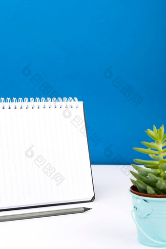 重要的消息写笔记本桌子上铅笔花crutial资料提出了记事本表格植物至关重要的更新演示