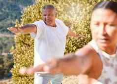 老年人生活健康的生活方式锻炼在户外高级夫妇站战士构成练习瑜伽自然阳光明媚的一天