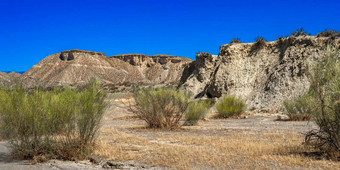 塔伯纳沙漠自然储备阿尔梅里亚西班牙