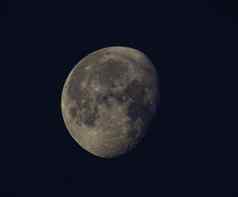 月亮天文身体轨道地球地球地球的永久自然卫星