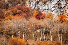 五彩缤纷的风景如画的秋天岩石山阿拉木图哈萨克斯坦