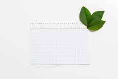 笔记本纸检查有图案的行叶子装饰显示教育空页面新鲜的植物学安排促进公司品牌