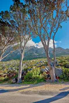 树自然山路阳光明媚的一天低角视图山峰南非洲风景优美的景观远程街走路径表格山角小镇