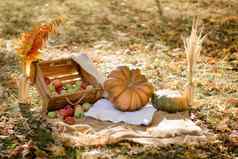秋天装饰公园南瓜红色的苹果说谎木盒子秋天背景秋天时间感恩节一天