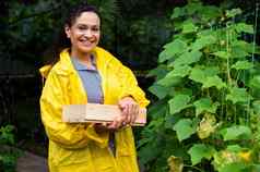 繁荣的非洲女人黄色的雨衣农业综合企业老板携带木箱可爱的微笑相机