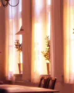 oldwindow室内植物装饰舒适的阳光照射的首页装饰分支机构叶子添加Zen美盆景树整齐安排窗台上阳光窗帘