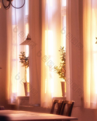 oldwindow室内植物装饰舒适的阳光照射的首页装饰分支机构叶子添加Zen美盆景树整齐安排窗台上阳光窗帘