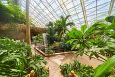 热带雨林花园温室瀑布走路径