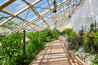玻璃屋顶温室走路径花园