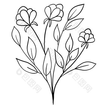 手画花花叶子插图黑色的白色优雅的婚礼点缀行艺术极简主义纹身风格设计夏天春天自然分支树叶开花