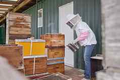 我养蜂人养蜂人蜜蜂吸烟者工作农场