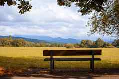 孤独的板凳上下面树风景如画的视图谷山地平线