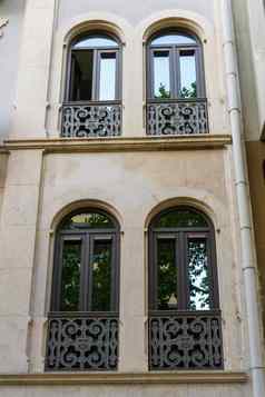 美丽的现代欧洲石头复合外观高拱形窗户