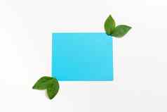 空白纸安排叶子代表自然产品空矩形框架新鲜的植物学装饰有创意的纸板草本植物业务广告