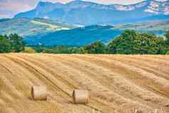 轮有包稻草滚农业农场牧场粮食房地产收获小麦黑麦大麦景观视图山背景森林复制空间农村里昂法国