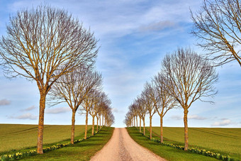 农村污垢路树草蓝色的天空背景树路径绿色山清洁自然环境单巷道旅行美丽的风景优美的草地土地德国