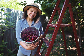 漂亮的女人微笑相机持有金属桶新鲜选成熟的甜蜜的樱桃樱桃果园