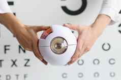 眼科医生医生持有部分眼睛模型眼球样本医疗保健