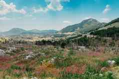 全景视图田园山风景阿尔卑斯山脉新鲜的绿色梅多斯布鲁姆美丽的阳光明媚的一天夏天山景观landcscape高山景观字段