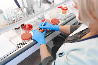 女人标记实验室样品细胞培养