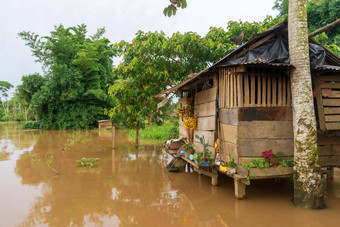 孤立的小屋由于洪水河直辖市罗 摩