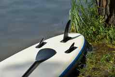站立会议paddleboard海岸湖