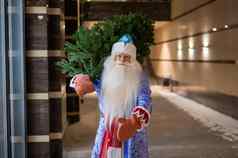 俄罗斯圣诞老人老人携带圣诞节树晚上在户外