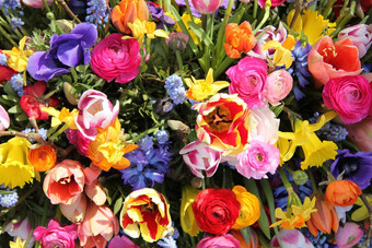 明亮的彩色的春天花花束