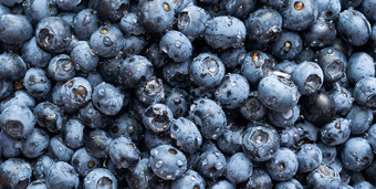 蓝莓浮动新鲜的蓝莓背景复制空间文本素食主义者素食者概念纹理蓝莓浆果关闭