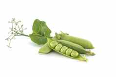 新鲜的绿色豌豆豆荚白色背景