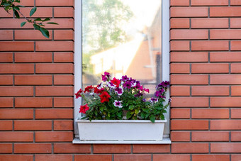 花盒子窗台上住宅建筑红色的砖房子复制空间
