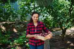 愉快的女人农民携带木箱收获有机土豆生态农业蔬菜交付概念