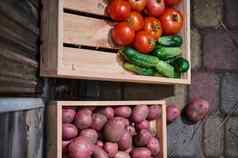 部分视图木箱国产有机蔬菜培养生态农场出售农民市场