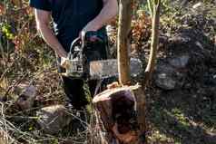 男人。修剪锯苹果树电锯农民播种干分支机构苹果树