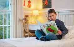 孩子们自然本能好奇心发现年轻的男孩阅读书恐龙卧室首页
