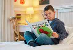 强烈的感兴趣恐龙年轻的男孩阅读书恐龙卧室首页