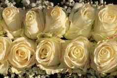 象牙白色玫瑰新娘花束