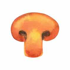 一块炸食用香草水彩插图蘑菇孤立的白色背景