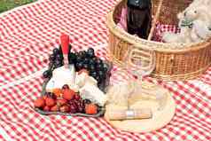 夏天野餐绿色草坪上红色的酒奶酪新鲜的浆果葡萄