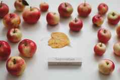 秋天背景新鲜的成熟的红色的苹果孤立的白色前视图秋天概念