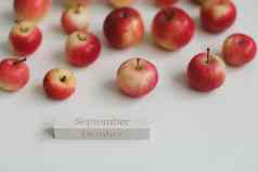 秋天卡新鲜的红色的苹果白色背景前视图